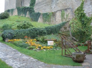vienna4.jpg